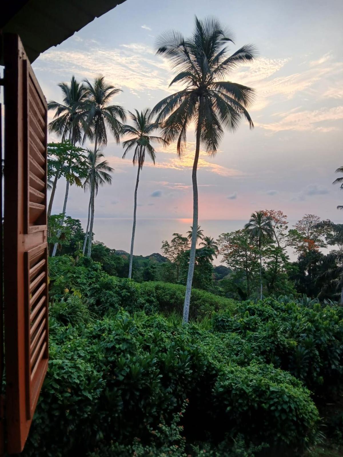 Pousadinha Mar Ave Ilha Principe エクステリア 写真